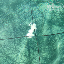 фото из отзыва ID 2725507