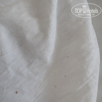 фото из отзыва ID 2725529