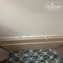 фото из отзыва ID 2725529