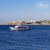 фото из отзыва ID 2725539