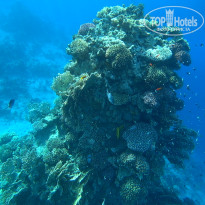 фото из отзыва ID 2725539