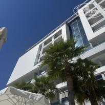 фото из отзыва ID 2725601