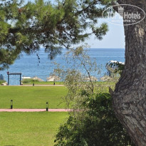 фото из отзыва ID 2725598