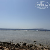 фото из отзыва ID 2725614