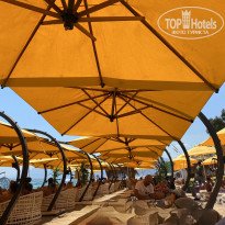 фото из отзыва ID 2725665