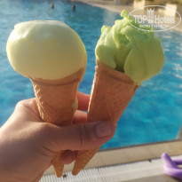 фото из отзыва ID 2724609