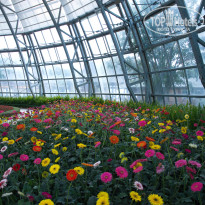 фото из отзыва ID 2725678