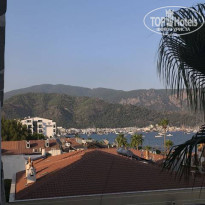 фото из отзыва ID 2725710