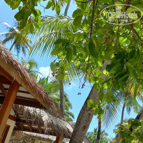 фото из отзыва ID 2725722