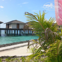 фото из отзыва ID 2725722