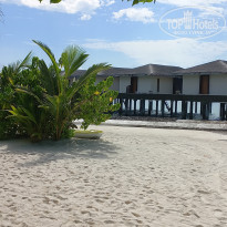 фото из отзыва ID 2725722