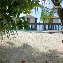 фото из отзыва ID 2725722