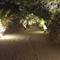 фото из отзыва ID 2725722