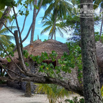 фото из отзыва ID 2725722