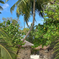 фото из отзыва ID 2725722