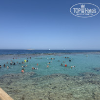 фото из отзыва ID 2725738