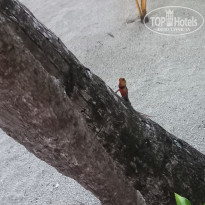 фото из отзыва ID 2725722