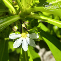 фото из отзыва ID 2725722