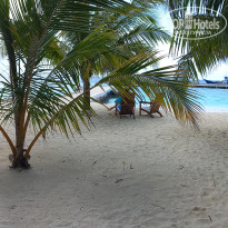 фото из отзыва ID 2725722