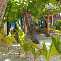 фото из отзыва ID 2725722