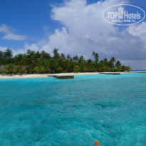 фото из отзыва ID 2725722