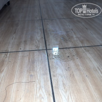 фото из отзыва ID 2725791