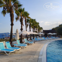 фото из отзыва ID 2724290