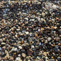 фото из отзыва ID 2725850