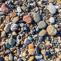 фото из отзыва ID 2725867