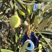 фото из отзыва ID 2725879