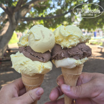 фото из отзыва ID 2725879