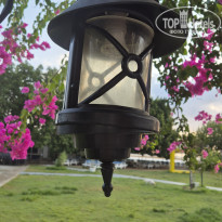 фото из отзыва ID 2725879