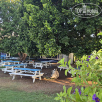 фото из отзыва ID 2725879