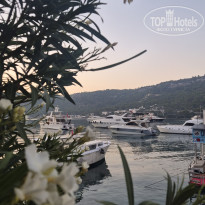 фото из отзыва ID 2725879