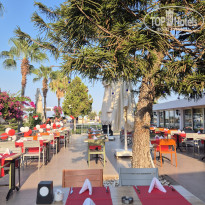 фото из отзыва ID 2725879