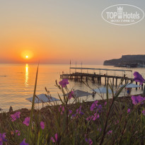 фото из отзыва ID 2725879