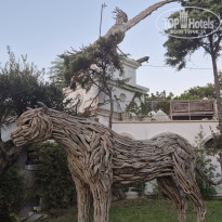 фото из отзыва ID 2725879