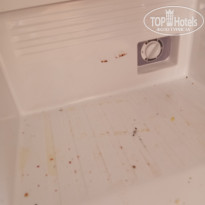 фото из отзыва ID 2725981