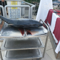 фото из отзыва ID 2725981