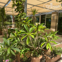 фото из отзыва ID 2725981