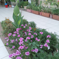 фото из отзыва ID 2725981