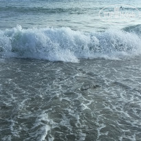 фото из отзыва ID 2725981