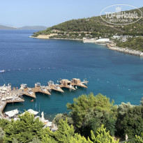 фото из отзыва ID 2726022