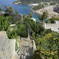 фото из отзыва ID 2726022