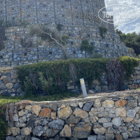 фото из отзыва ID 2726022