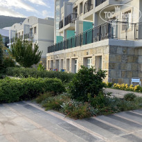 фото из отзыва ID 2726022