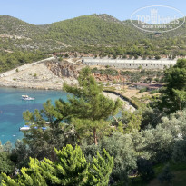 фото из отзыва ID 2726022