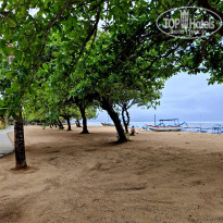 фото из отзыва ID 2726035