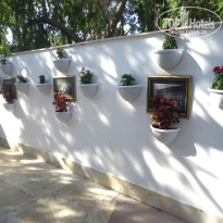 фото из отзыва ID 2726042