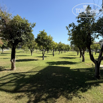 фото из отзыва ID 2726051